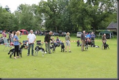 IMG_1042